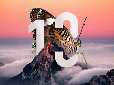 13 design