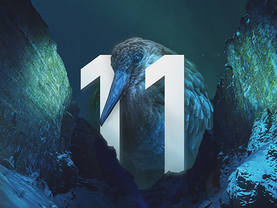 11