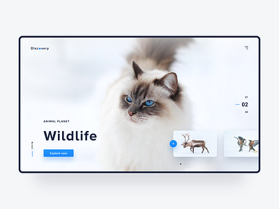 011 Daily UI Challenge for 100 days: Wildlife clean clear daily 100 elegant minimal simple ui ui ux ux website