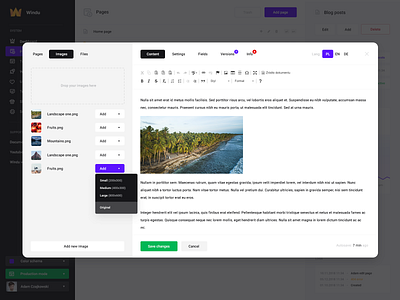 Content editor modal 📖 design ui ux web