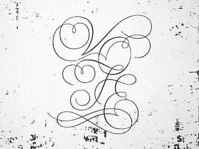 VOTE election paper script spencerian texture type typography vote