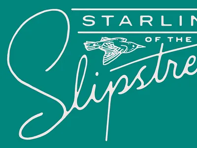 Slipstream bird design illustration lettering mcwhorter seth type art typography