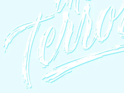 The Terror brush brush calligraphy calligraphy design ink lettering lettering art mcwhorter seth typography