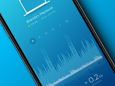 Router Manager Mobile App app blue device management internet traffic iphone network network app router management ui ui design user interface ux