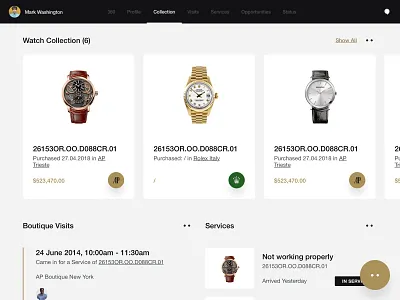 Audemars Piguet - Customer 360 - Exploration #2 client colors crm dashboard design design sprint exploration interface overview ui ui design user experience user interface ux ux design watch watchmaker web web app
