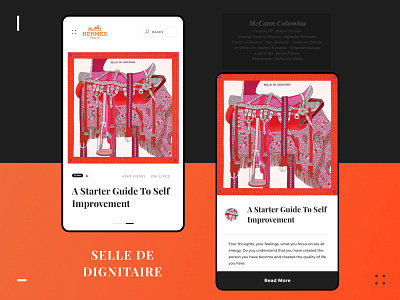 Day9 - Hermes scarves app black deisgn goods hermes interface luxury magazine orange package scarves shopping silk ui uidesign uxd