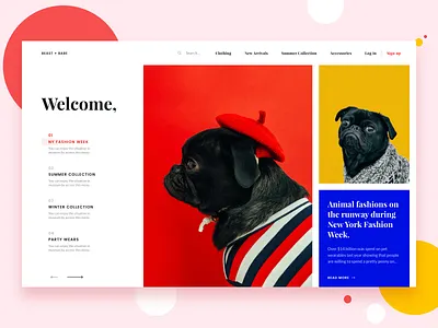 Pet Boutique accessories animals app boutique bruvvv cart clothing daily ui design dogs ecommerce fashion homepage landing page market pets petshop shopping web website
