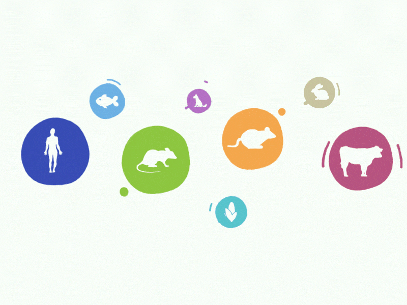 Clinical Trials - video explainer after effects animals animation chemistry design dna graphics lab motion motion graphics particles research science