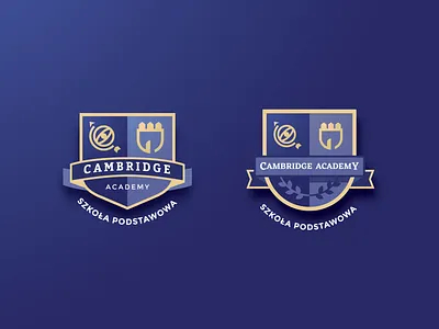 Cambridge Academy badge logo school