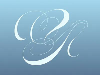 Y – 36 Days Of Type apple pencil custom lettering hand lettering ipad pro letter letterform letterforms lettering lettering art lettering design lines script script lettering spencerian type type design typogaphy typophile vector y