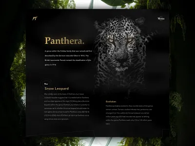Panthera - Daily exploration daily dark gold nature ui visual