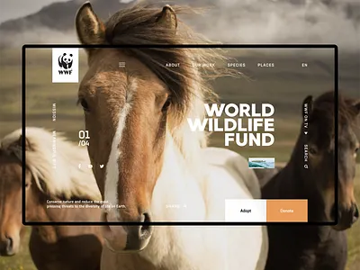 WWF concept design ui ux wwf