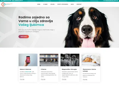 A website for a veterinary clinic cat doctor dog medical pets petshop ui ux veterinary