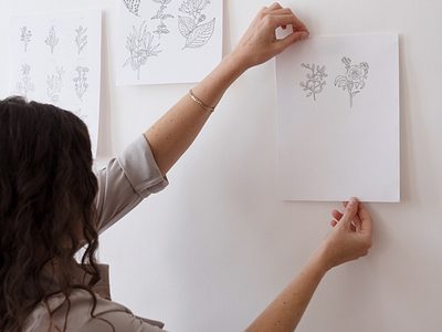 Custom Herbal Icon Illustrations drawing essential herbal herbs icon icons iconset illustration leaves nature rose