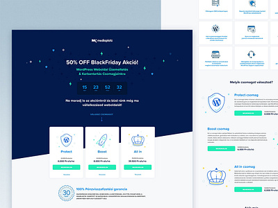 Black Friday blackfriday blue and white countdown countdowntimer icons icons set illustration shield vector web webdesign website