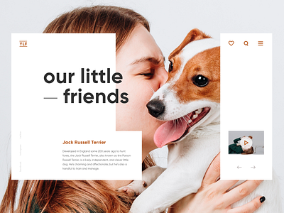 Daily UI Animals clean creativity daily design homepage illustration landing page minimal ui web webdesign website