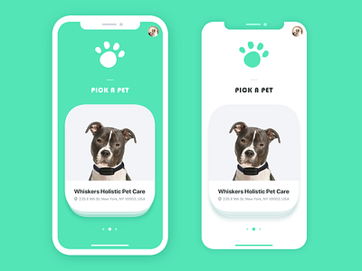 Furry Friend World App Ui app concept flat illustration minimal ui ux vector