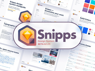 Snipps Design System colors cool dailyui design system minimal modern typography ui ui kit ux vector
