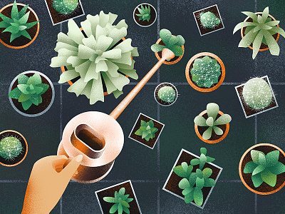 Zen of Watering cacti design foliage grainy graphic green greenery illustration modern plants succulent texture watering