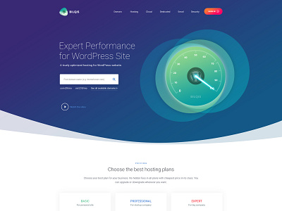 Wordpress Hosting Template hosting server wordpress wordpress design wordpress hosting wordpress illustrations