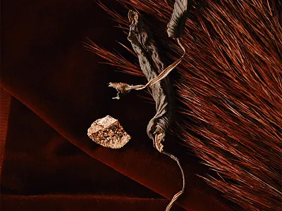 Holiday Fig darkhues driedflorals fig florida holidayhues holidays maroon photography propstyling red tampa warm