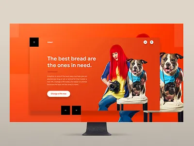 Pet adoption landing design