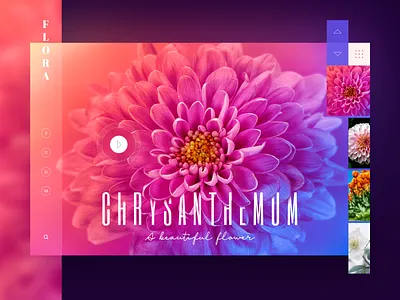Flower UI Concept design designer dribbble flower ideas photoshop sketch ui uidesign uidesigner userexperience userinterface ux uxdesign uxdesigner uxui webdesign webdesigner websitedesign wireframe