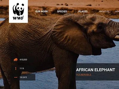 WWF Web Design animal interface ui ux web web design wwf