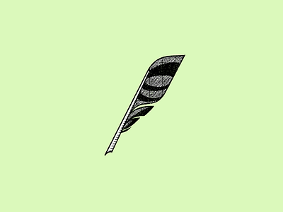 Quill feather quill writing