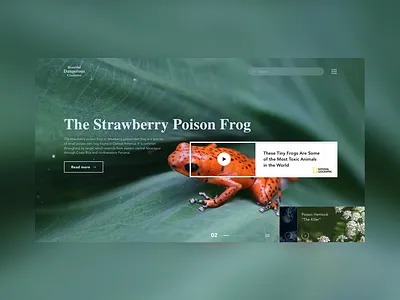 Beatiful Dangerous Creatures animals focus logo photo slider typography ux ux ui uxd web