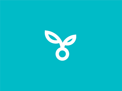 Bloom Creative agency bloom branding content create creative design development digital innovation inspire marketing seed strategy studio
