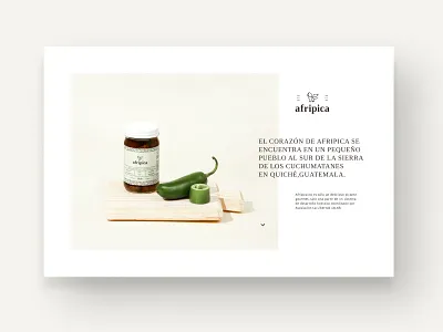 Website Afripica branding design desktop digital guatemala minimal responsive typography ui ux web website