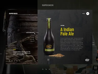 Superbock Brewing beer brewing design interface layout portugal type ui ux web webdesign website