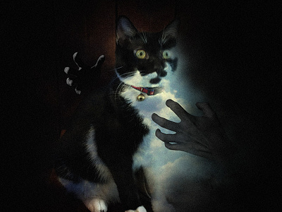 Magic Cat art cat dark fantasy photomanipulation photoshop surreal taiwan