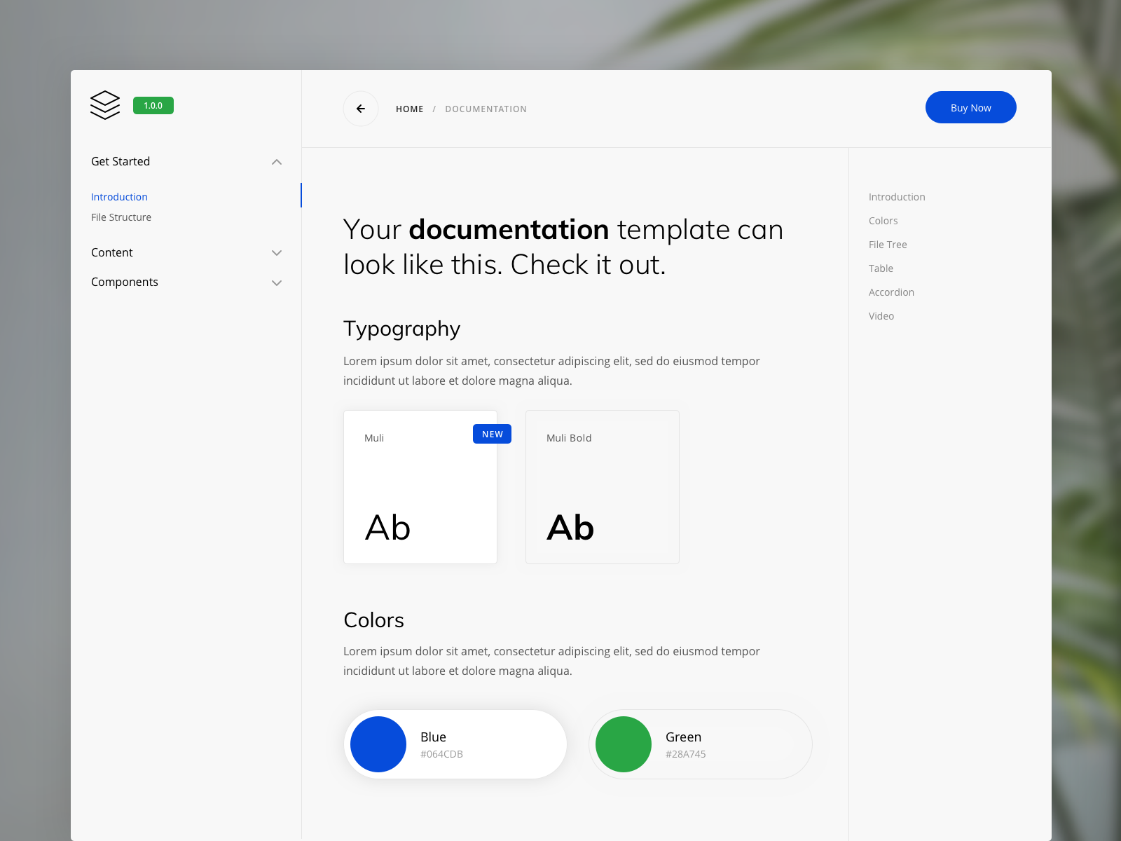 Example of Online Documentation Template