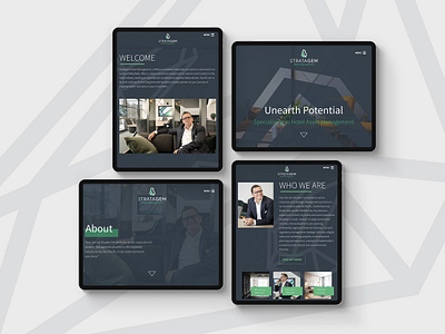 Web Design for Stratagem australia corporate web design freelancer krystlesvetlana melbourne modern design responsive design web design