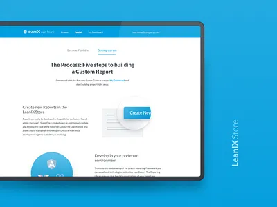 LeanIX Store Illustrations custom reports enterprise guide illustrations step by step ui