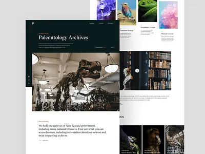 Museum Home archive black clean contrast dinosaur exhibit landing page minimalism museum paleontology simple website white