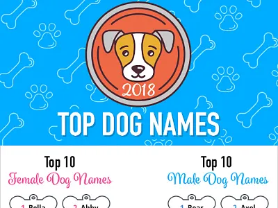 Top Dog Names of 2018 Infographic dog illustration infographic vector