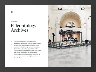 Museum Exhibit archive black blog clean contrast dinosaur editorial landing page minimalism museum paleontology simple typography website white