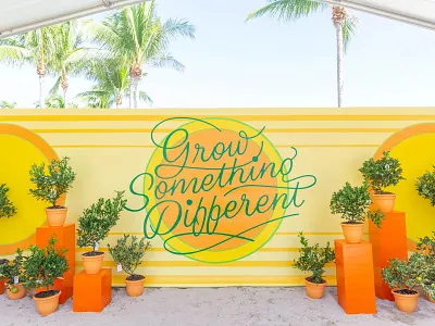Festival Design branding event design focus lab lettering mural photography set design styling