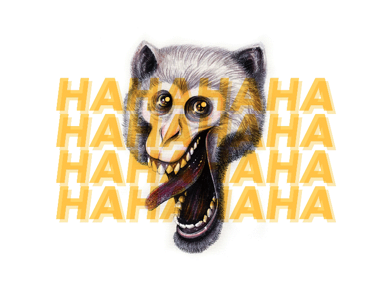 Disturbia animal character character art gif illustration monkey motion graphic