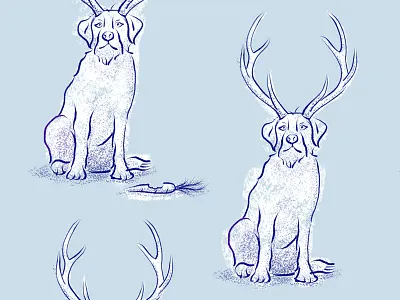 Wistia Wrapping Paper