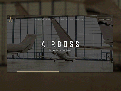 Private Aviation Website design layout website