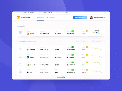 Satoshi View - Crypto Analysis crypto dashboad design list page minimal statistic ui ux web website