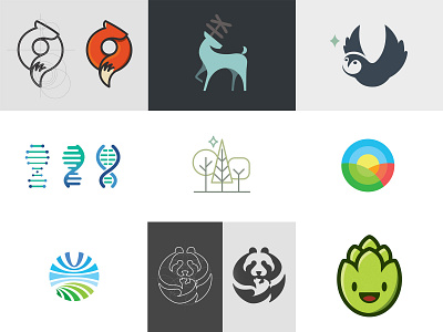 Best 9 Shots of 2018 best 9 best designs most liked shots