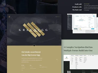 Casestudy page concept casestudy dark gold portfolio typography ui ux design