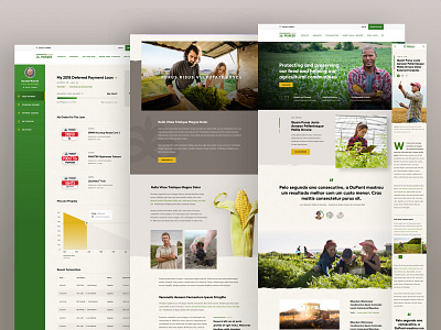 Pioneer Showcase V1 agriculture design design system desktop farm flexible layouts mobile modern responsive texture ui ui design web design