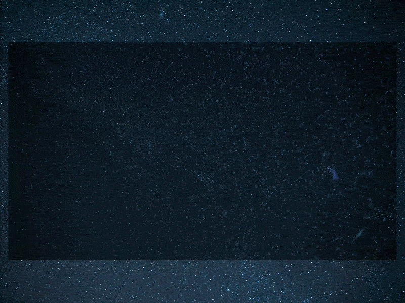 New Year animation design gradient happy holiday happy new year interection merrychristmas new year 2019 plexus ui ux