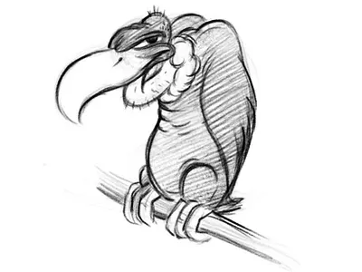 Sketch "Vulture" character character design hello dribbble illustration sketch